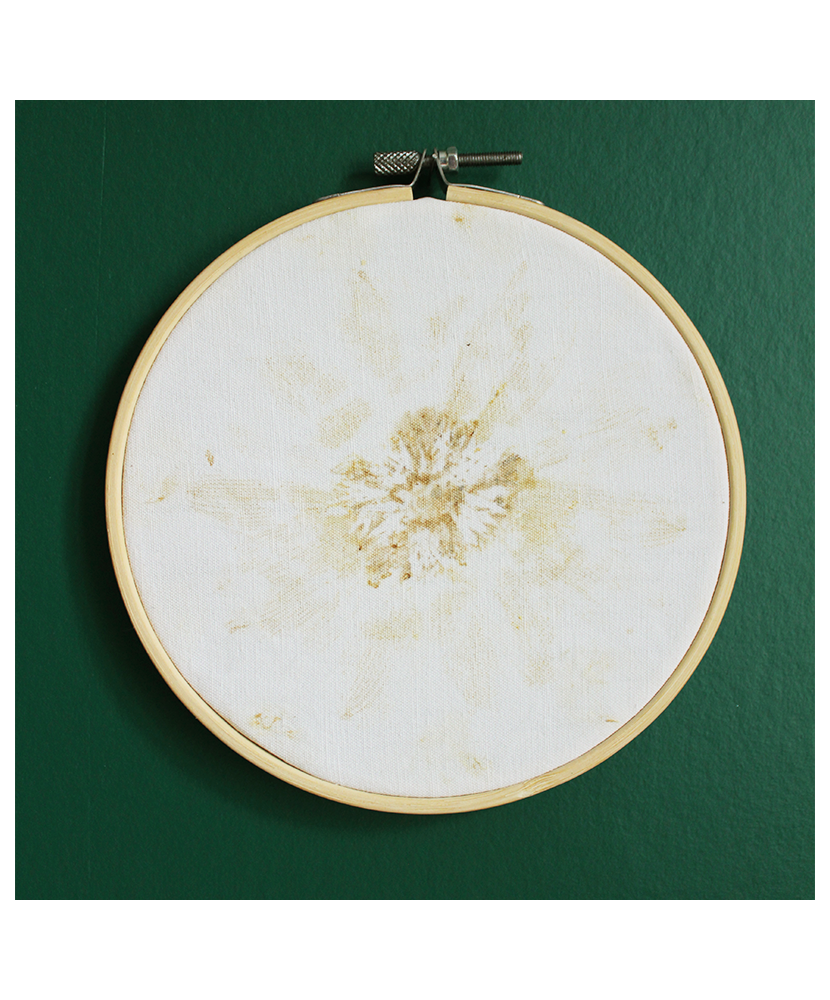 DÉCO IMPRESSION VÉGÉTALE DIAM 15 CM DÉCO IMPRESSION VÉGÉTALE DIAM 15 CM