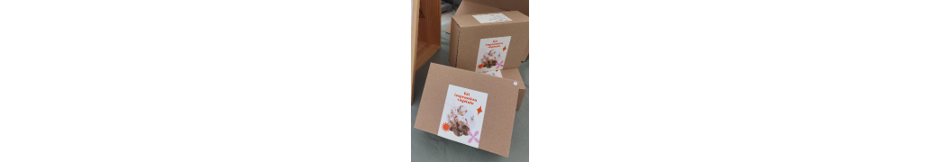 Kits créatifs & ateliers artisanaux – Sérigraphie et impression végétale
