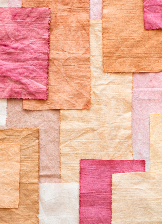 Cms-Banner-05